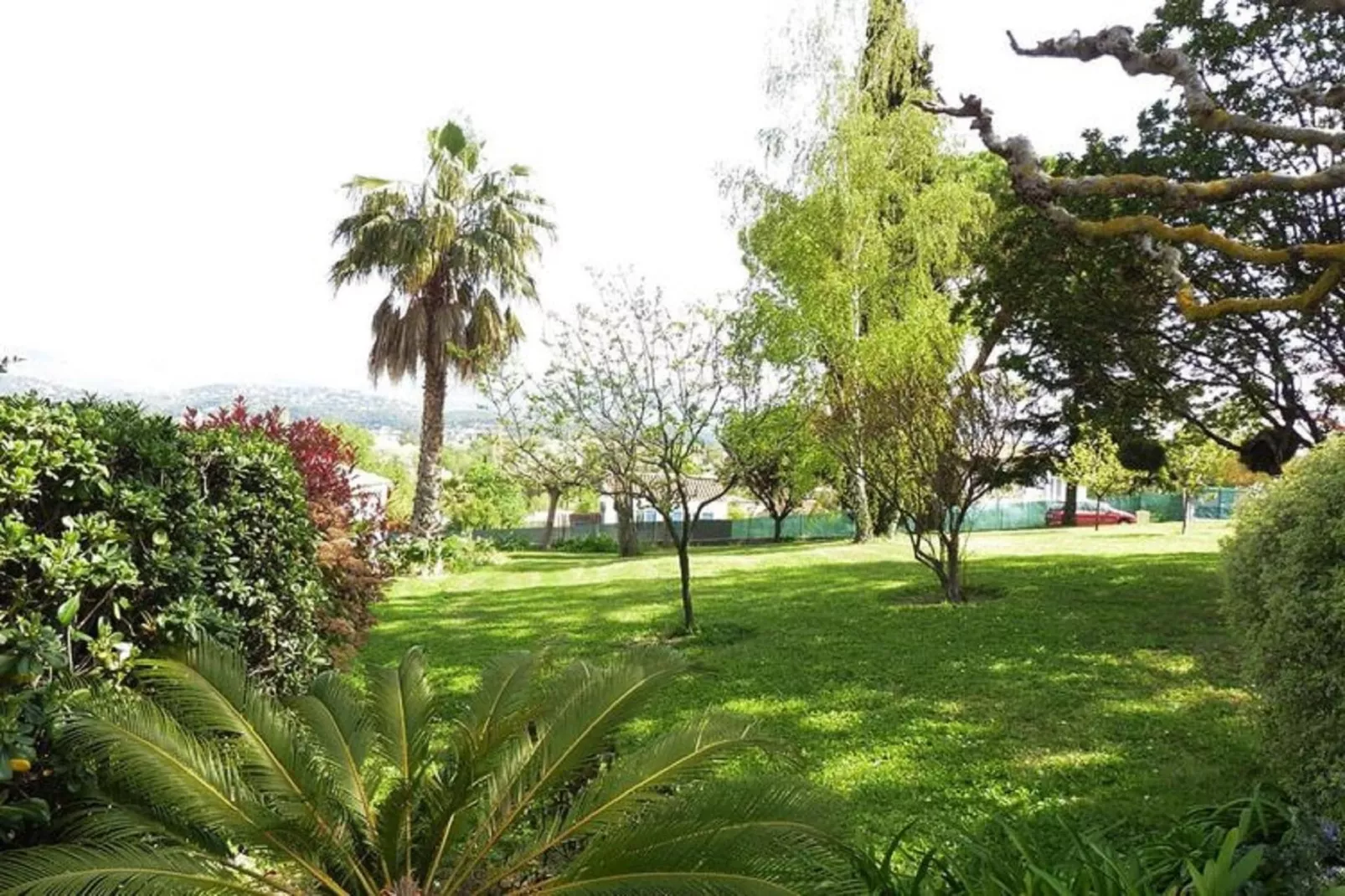 Ferienhaus in Cagnes-sur-Mer-Gebieden zomer 1km