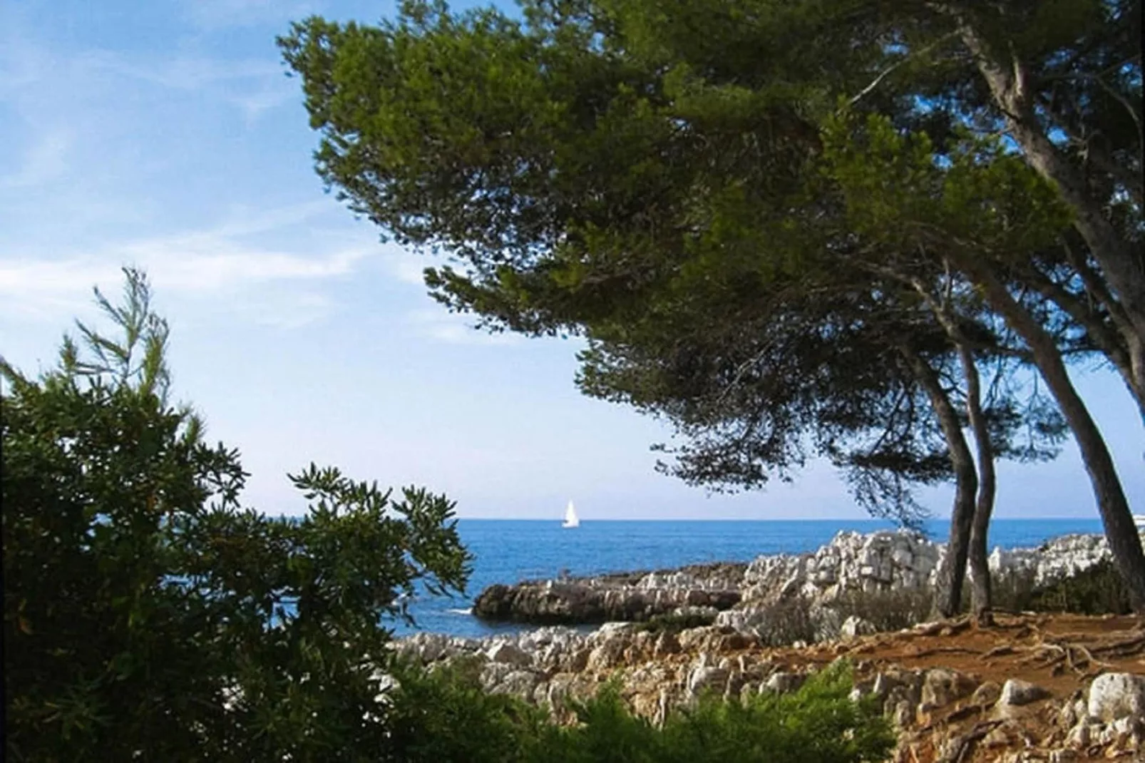 Ferienhaus in Cagnes-sur-Mer-Gebieden zomer 5km