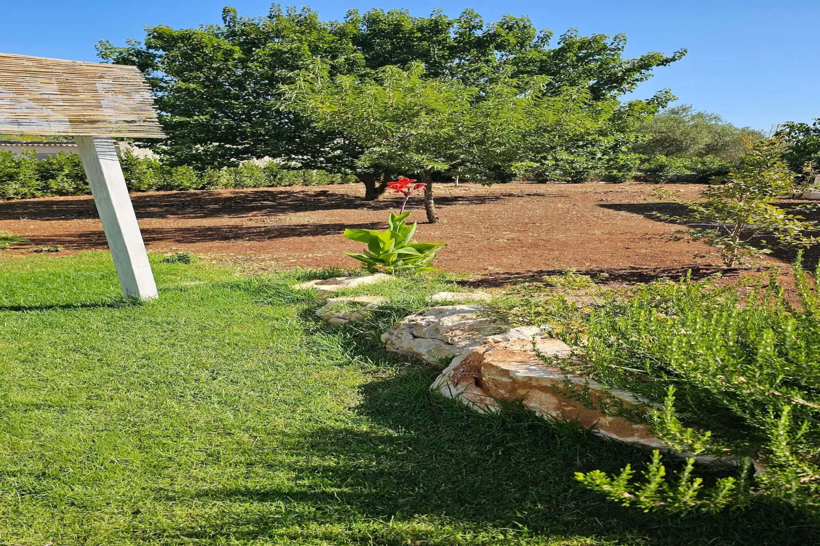 Trullo Milena Fasano-Tuinen zomer