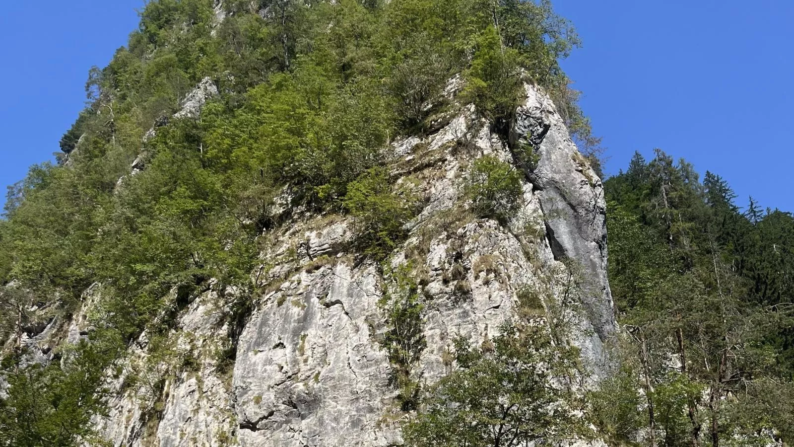 Obermöschach 7A-Gebieden zomer 5km