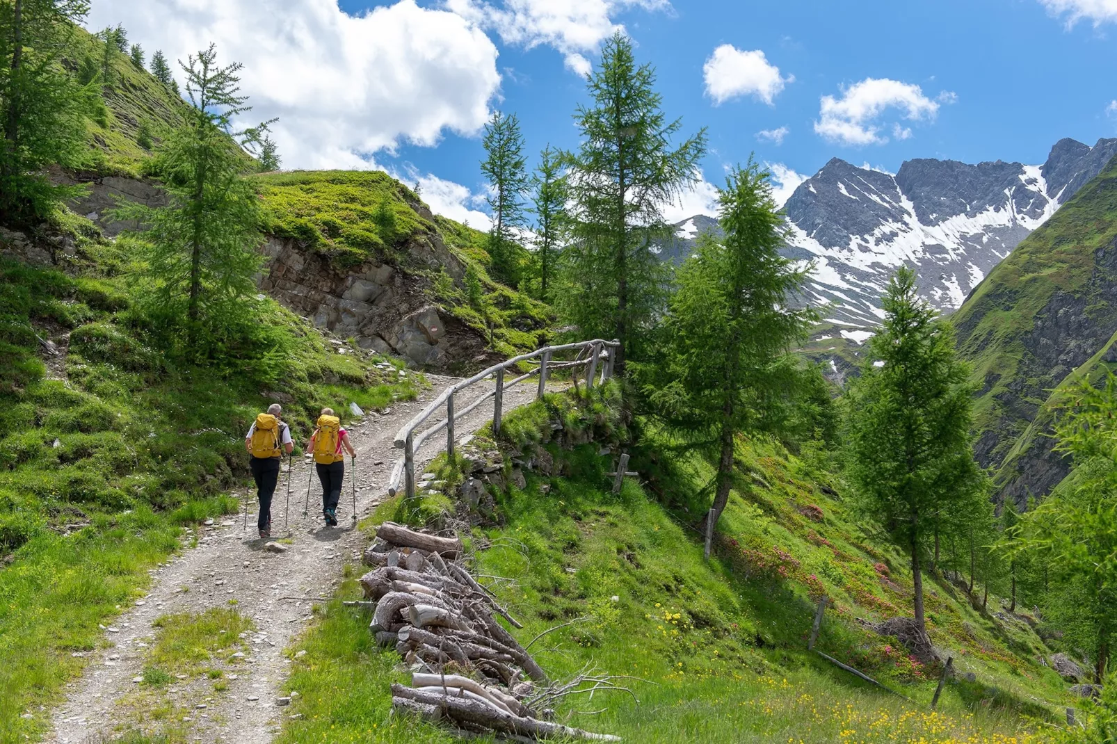 Apartment Alpine Classic-Gebieden zomer 5km