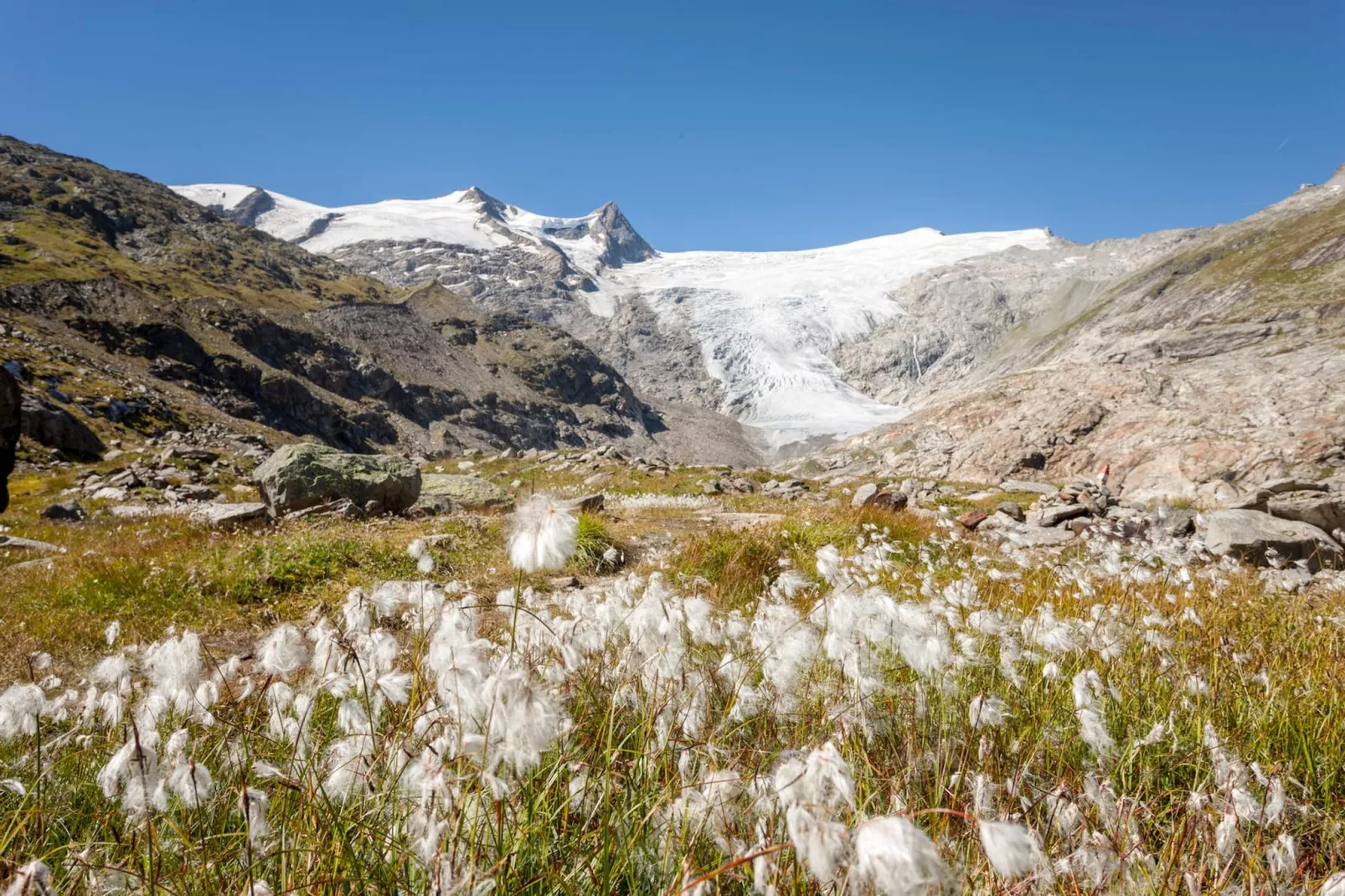 Apartment Alpine Superior-Gebieden zomer 5km