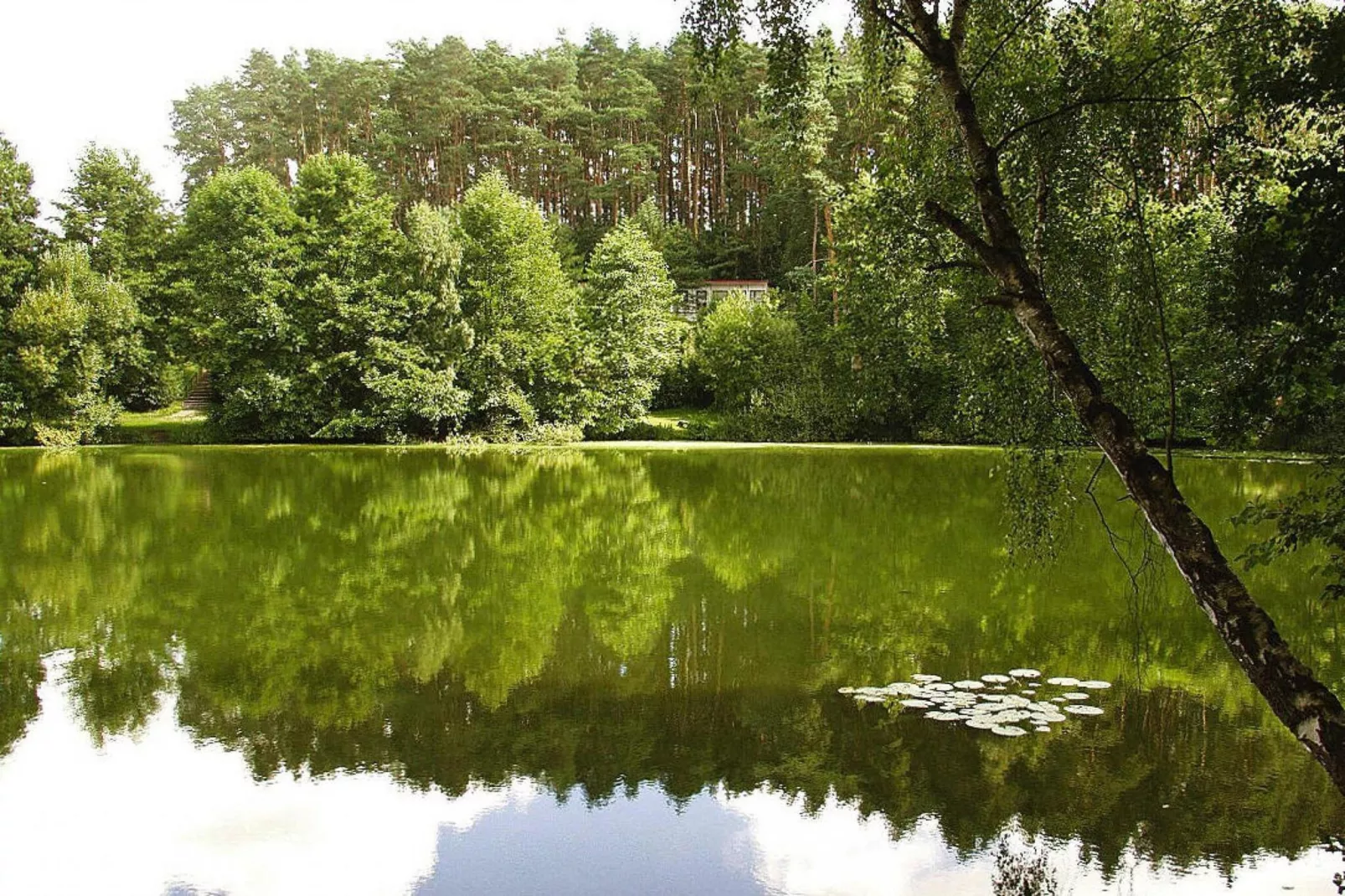 Feriensiedlung Am Grundlossee / DHH Typ 1 40 qm 4 Pers-Gebieden zomer 5km