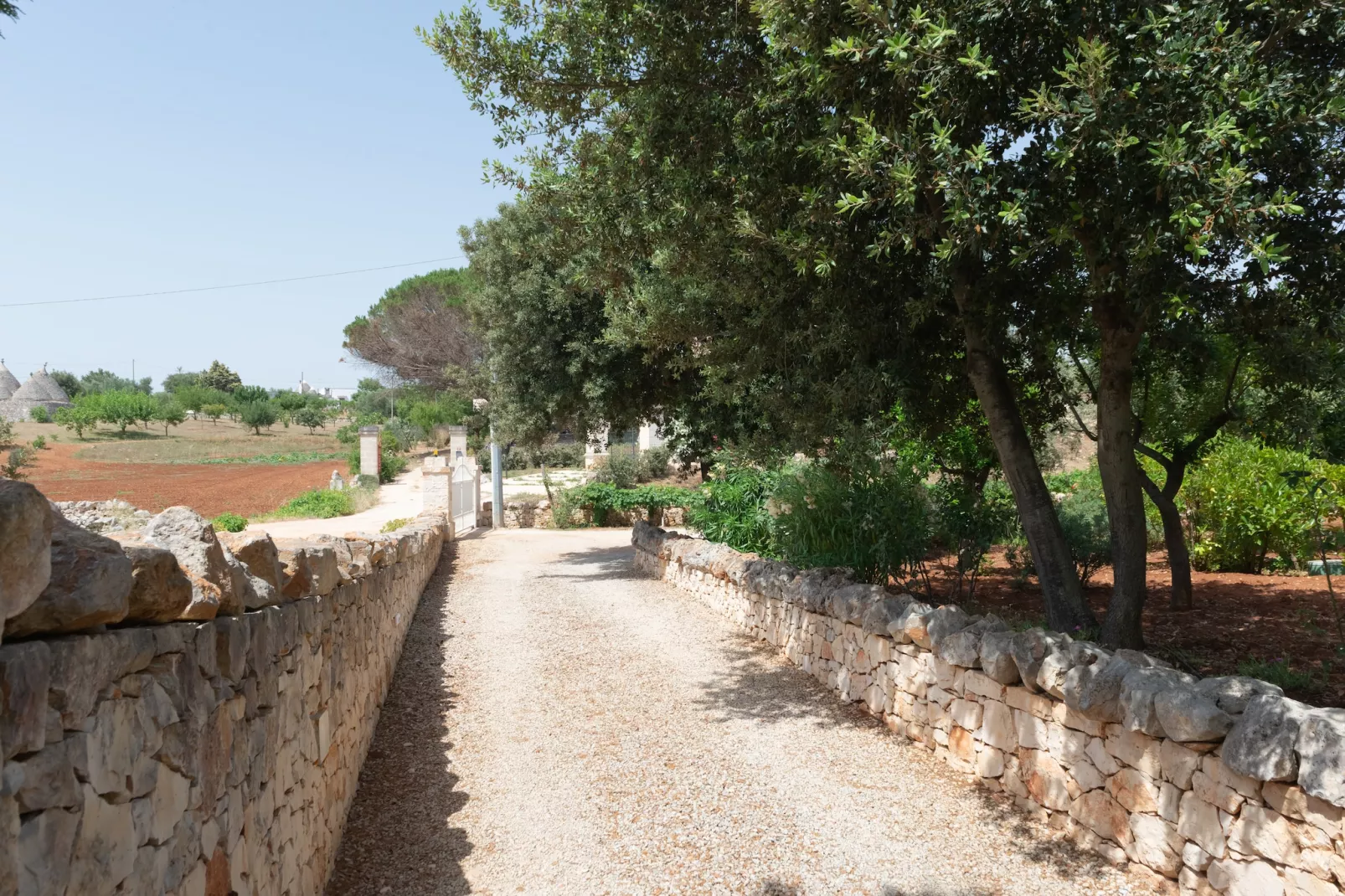 Trullo Filippo Ostuni-Tuinen zomer