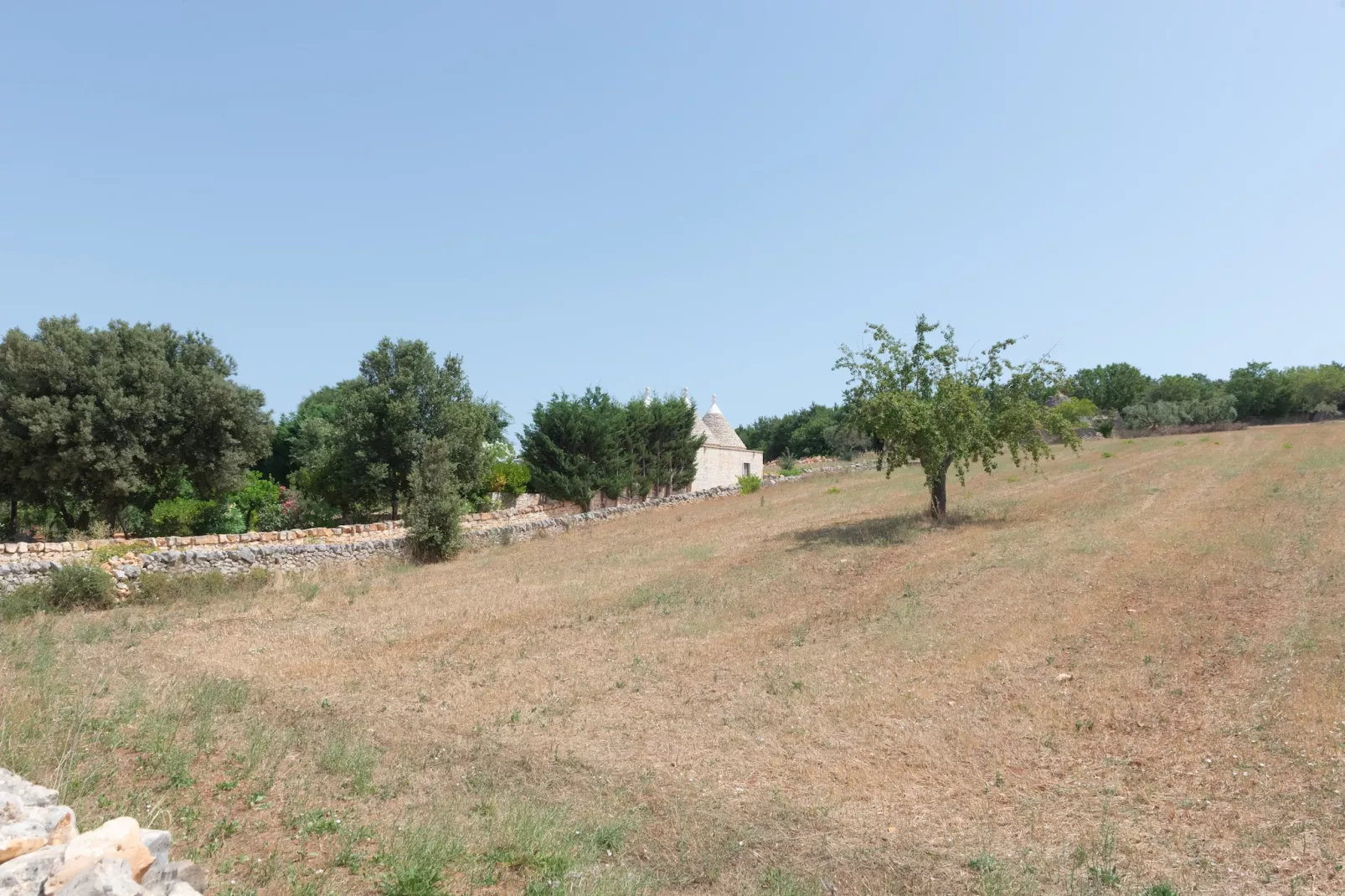 Trullo Filippo Ostuni-Tuinen zomer