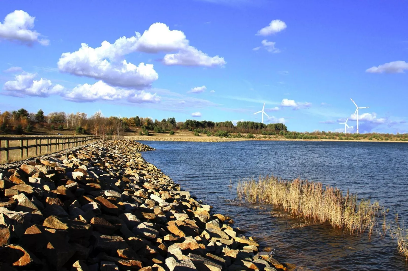 Bungalow am Partwitzer See-Waterzicht