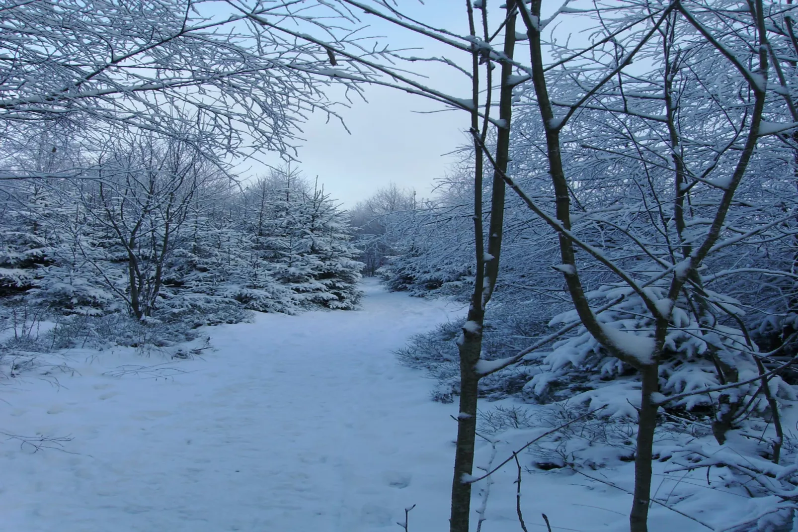 Zur Schöne Aussicht-Uitzicht winter