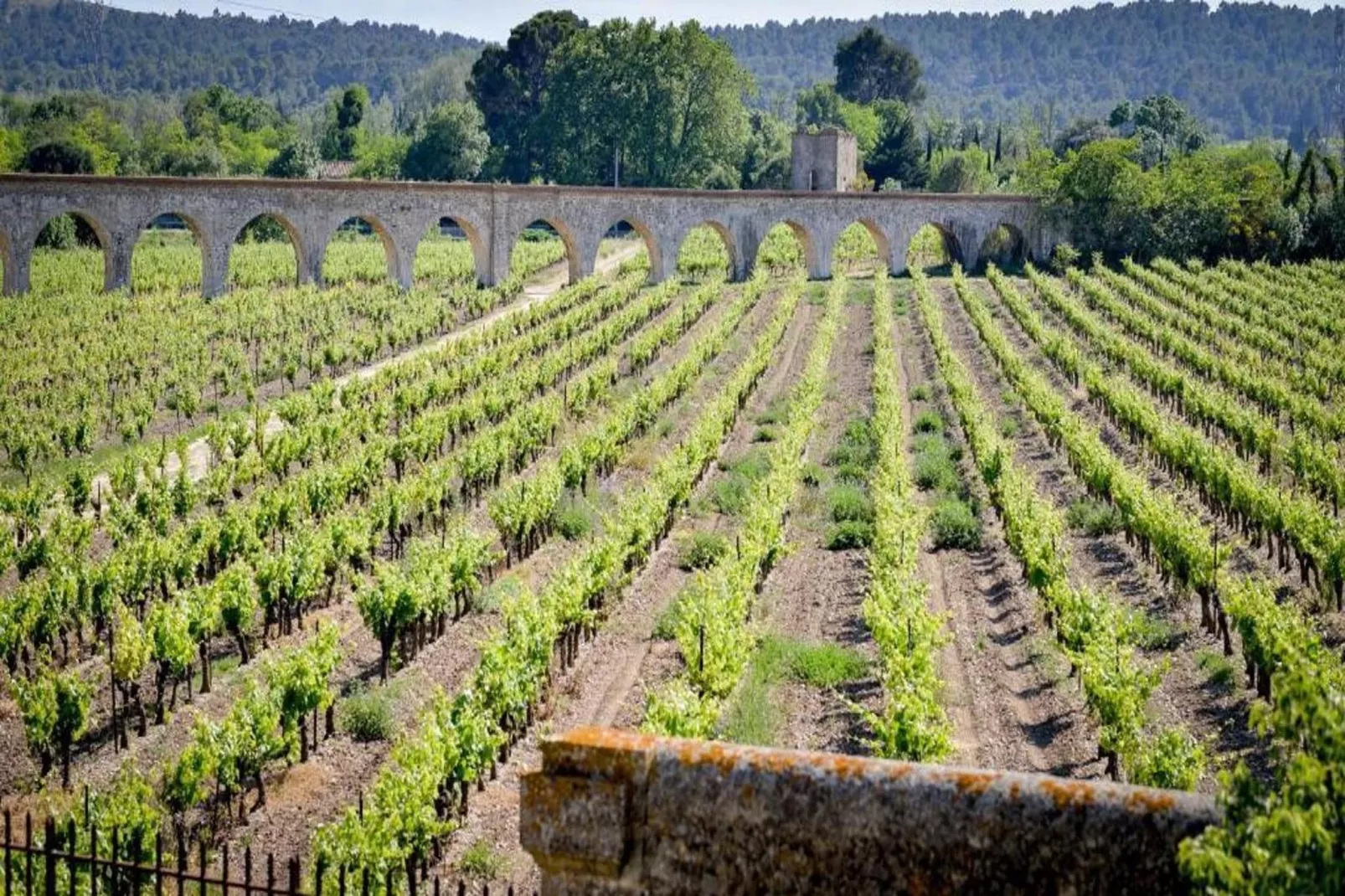 Résidence du Château de Jouarres - Azille // Apt Mezzanine 4 pers-Gebieden zomer 1km