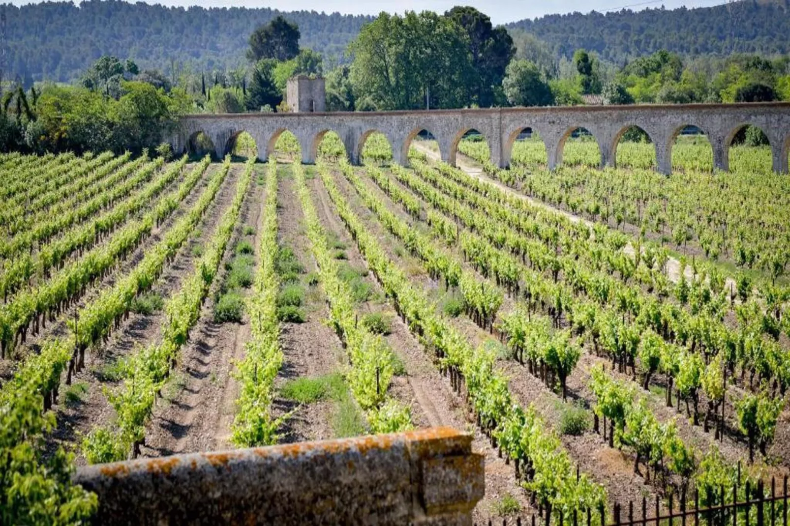 Résidence du Château de Jouarres - Azille // Apt Mezzanine 4 pers-Gebieden zomer 1km