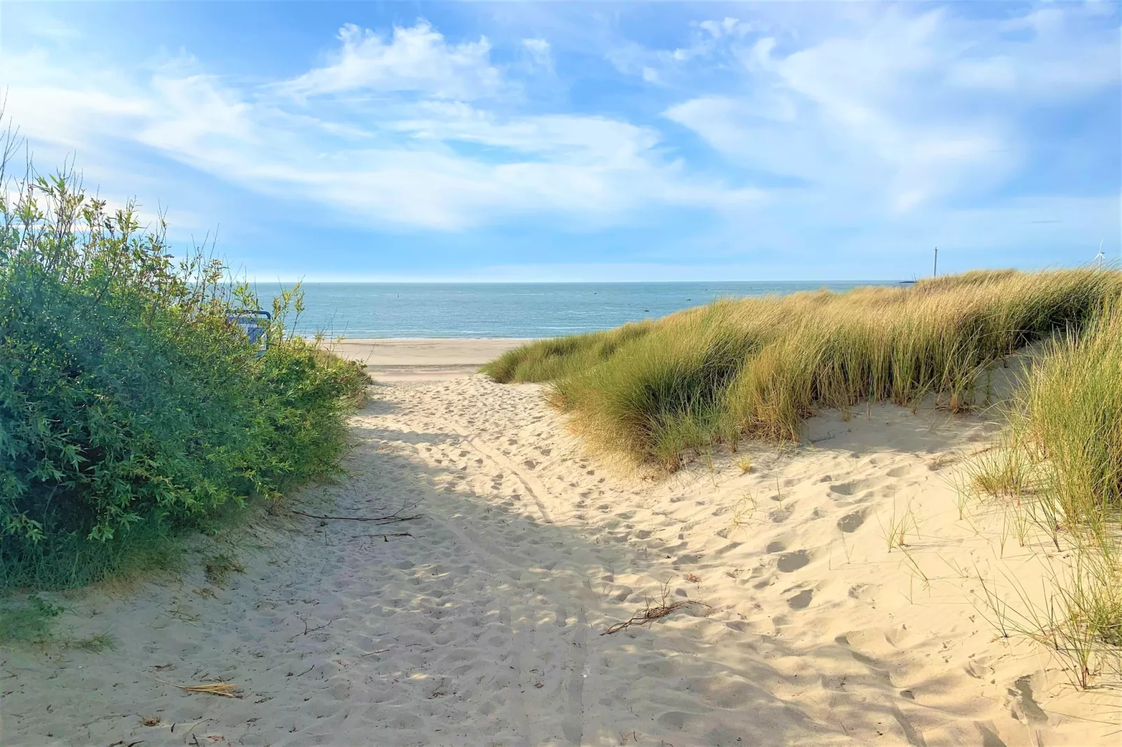 Vakantiewoning de Schotsman-Gebieden zomer 20km