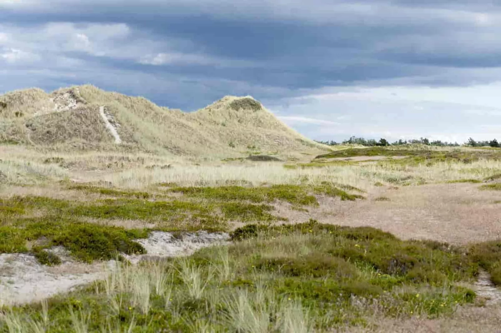 6 persoons vakantie huis in Læsø-Uitzicht