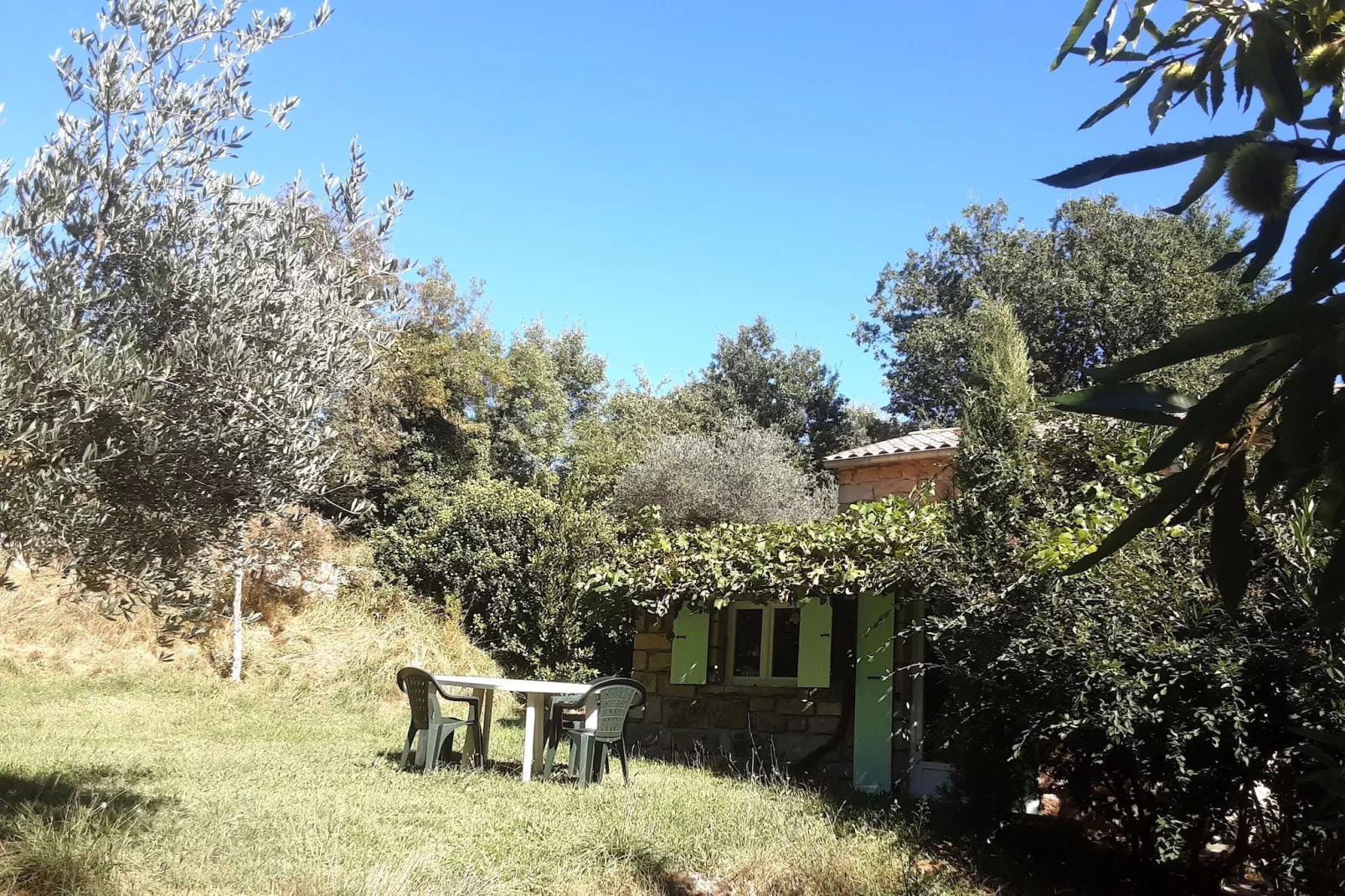 Steinhaus in Chambonas / Les Cèdres-Buitenkant zomer