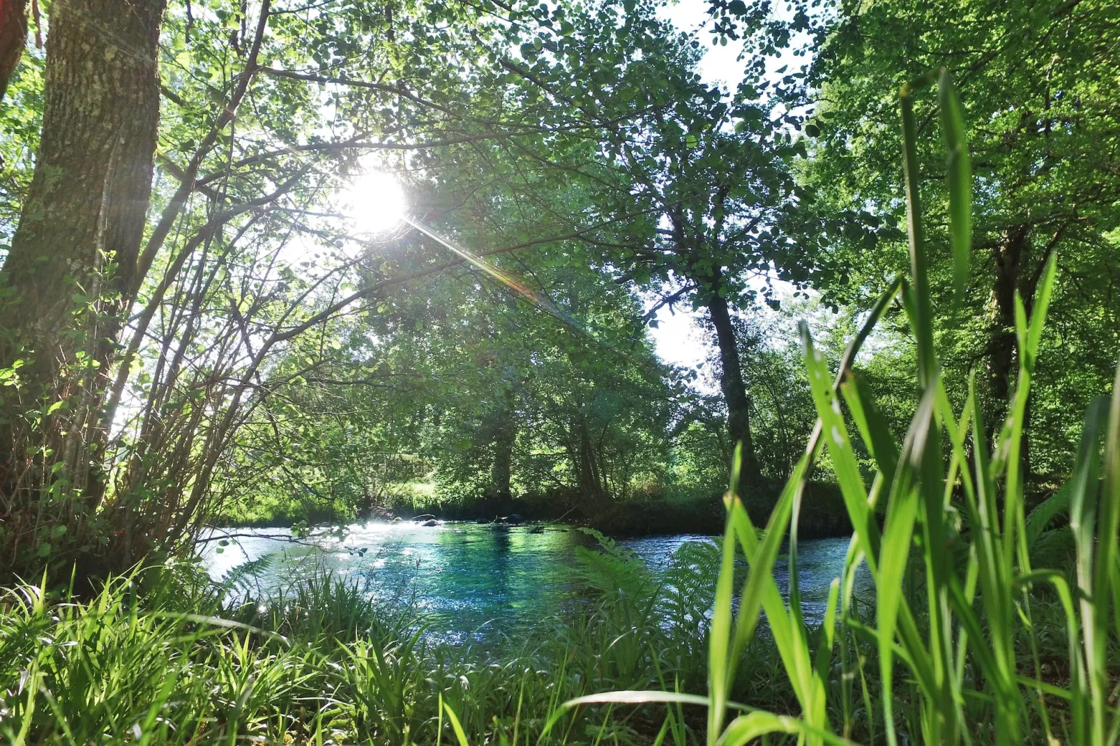 Gîte 3 Pièces 6 Personnes 1  bébé 2 salles d'eau-Image-tags.