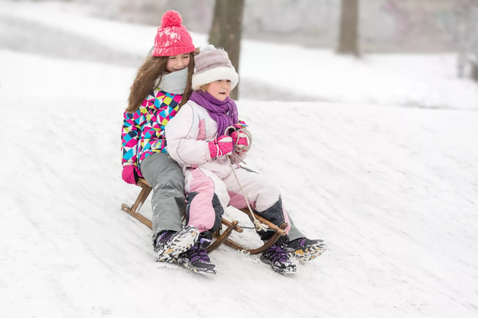 Apartment Harmonika-Gebied winter 1km