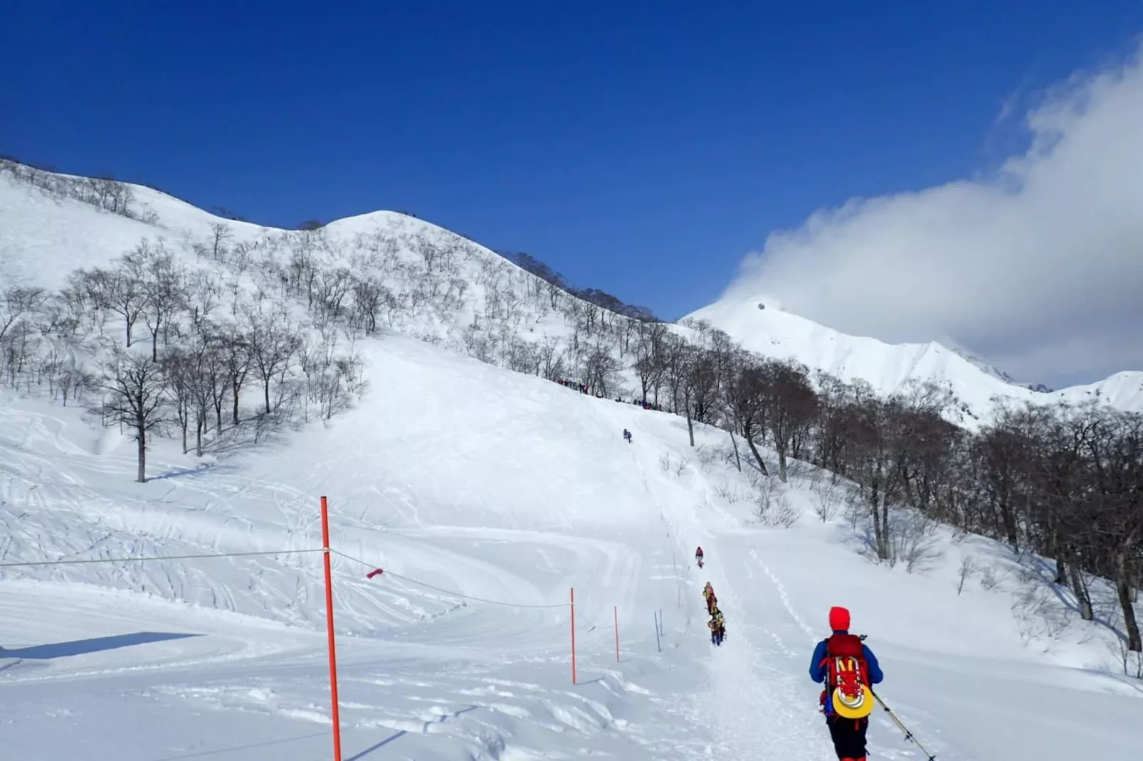 Nuance de Bleu-Gebied winter 5km