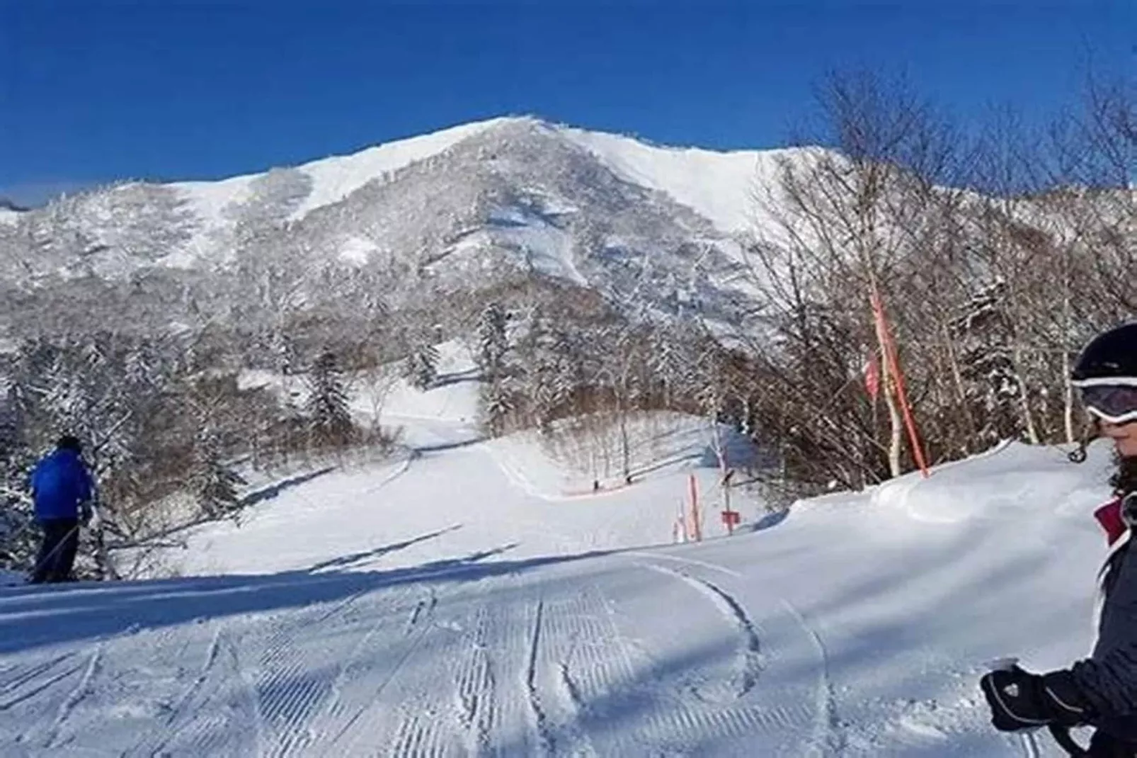 Nuance de Bleu-Gebied winter 5km