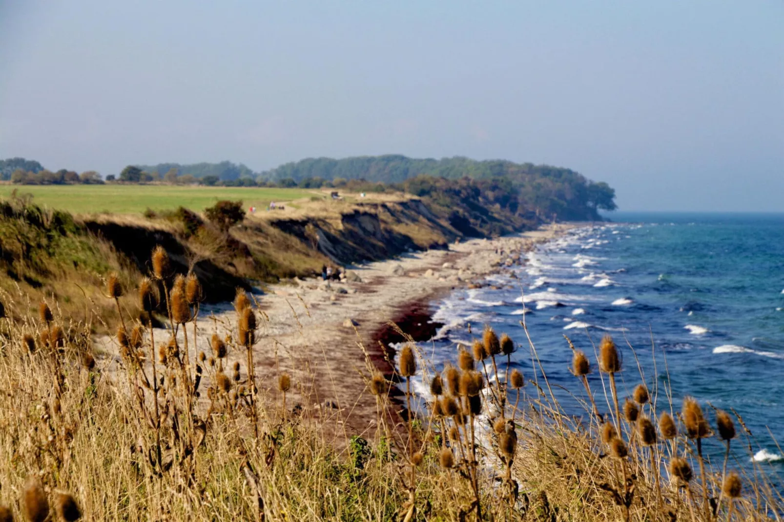 Museumshof / Typ 1 / EG oder im 1 oder 2 OG / 35 qm / 2 Pers-Gebieden zomer 5km