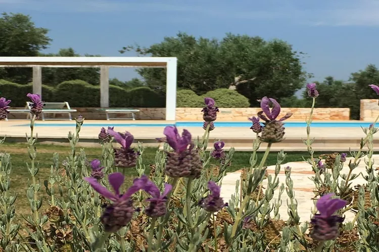 Trullo Amato Cisternino-Zwembad