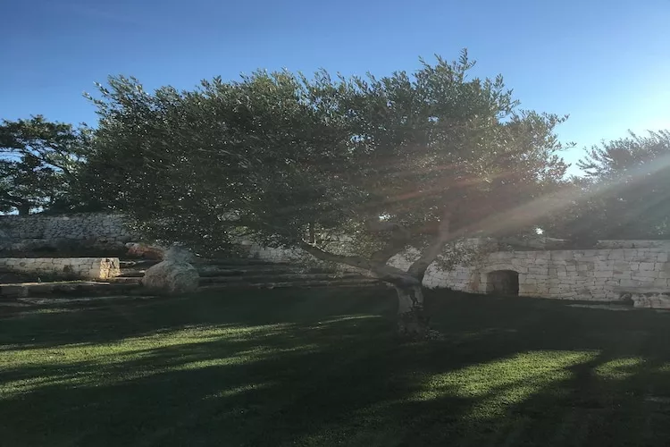 Trullo Amato Cisternino-Tuinen zomer