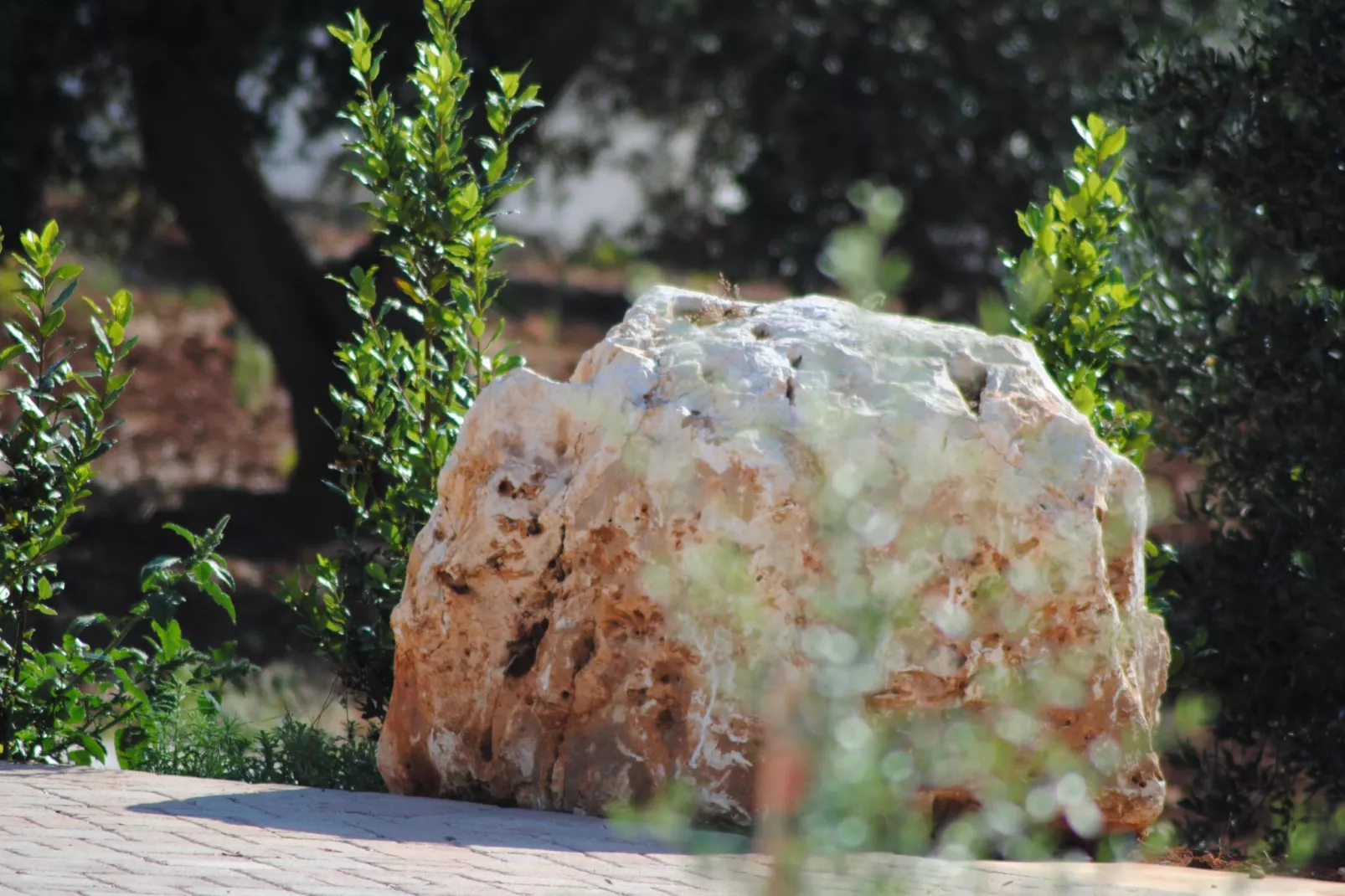 Trullo Rosa Ostuni-Sfeer