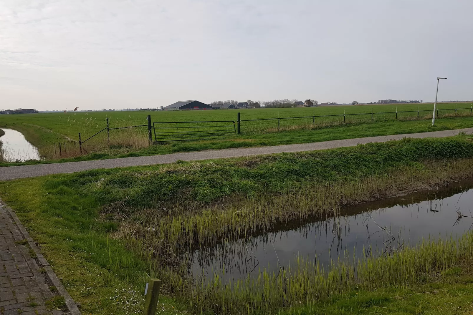 Bargereed 66-Uitzicht zomer