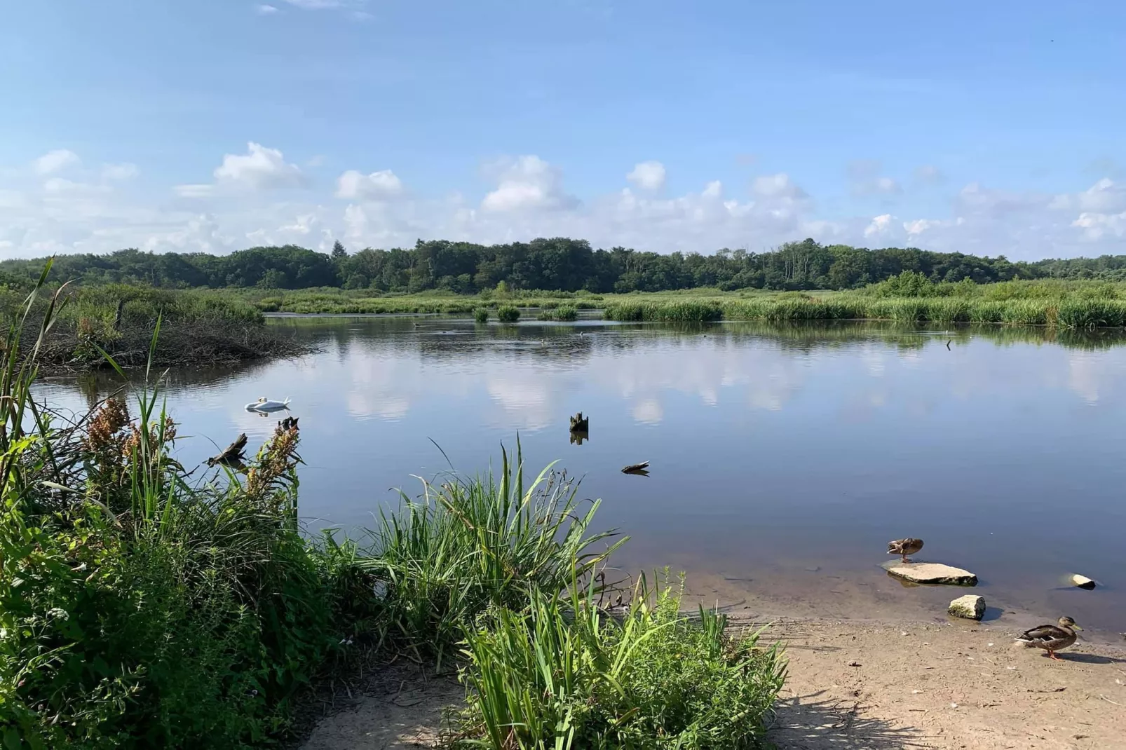 	Całoroczny nowy domek dla 4 osób Ustronie Morskie-Gebieden zomer 5km