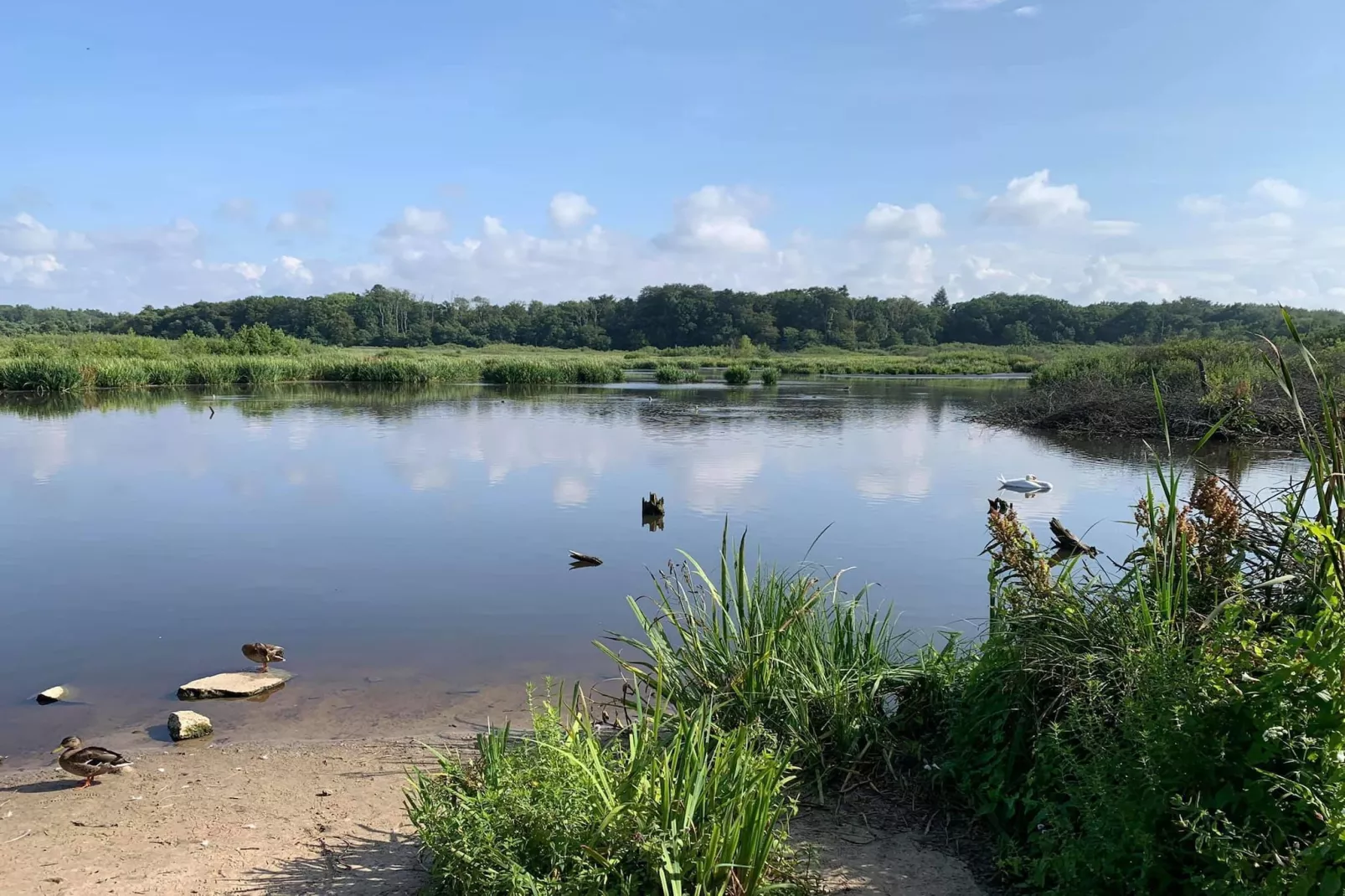 	Całoroczny nowy domek dla 4 osób Ustronie Morskie-Gebieden zomer 5km