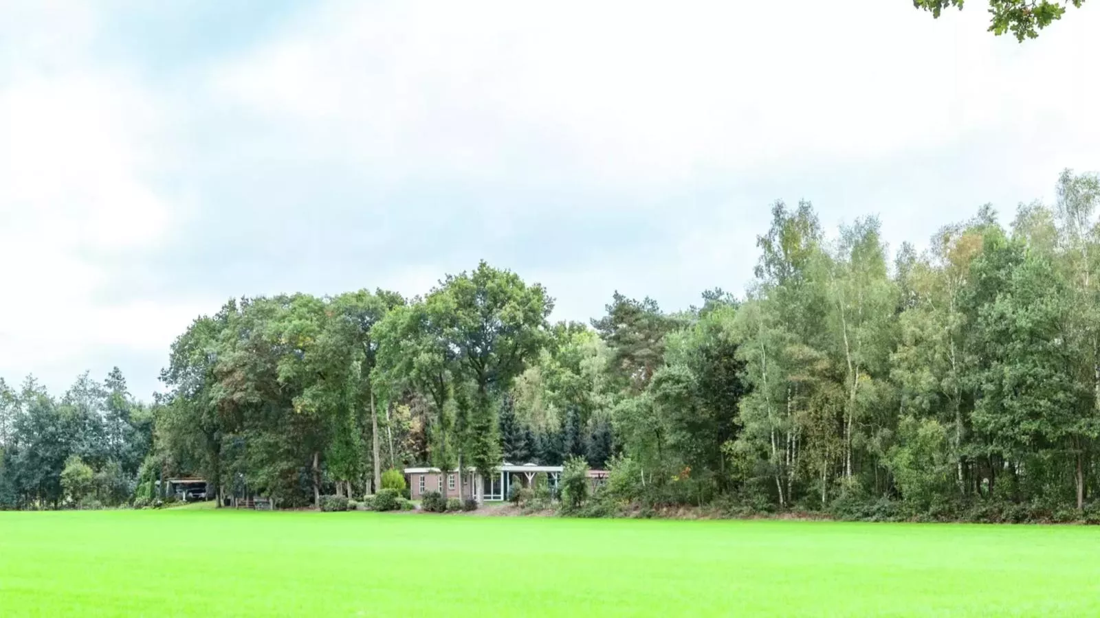 Langgoor-Gebieden zomer 1km