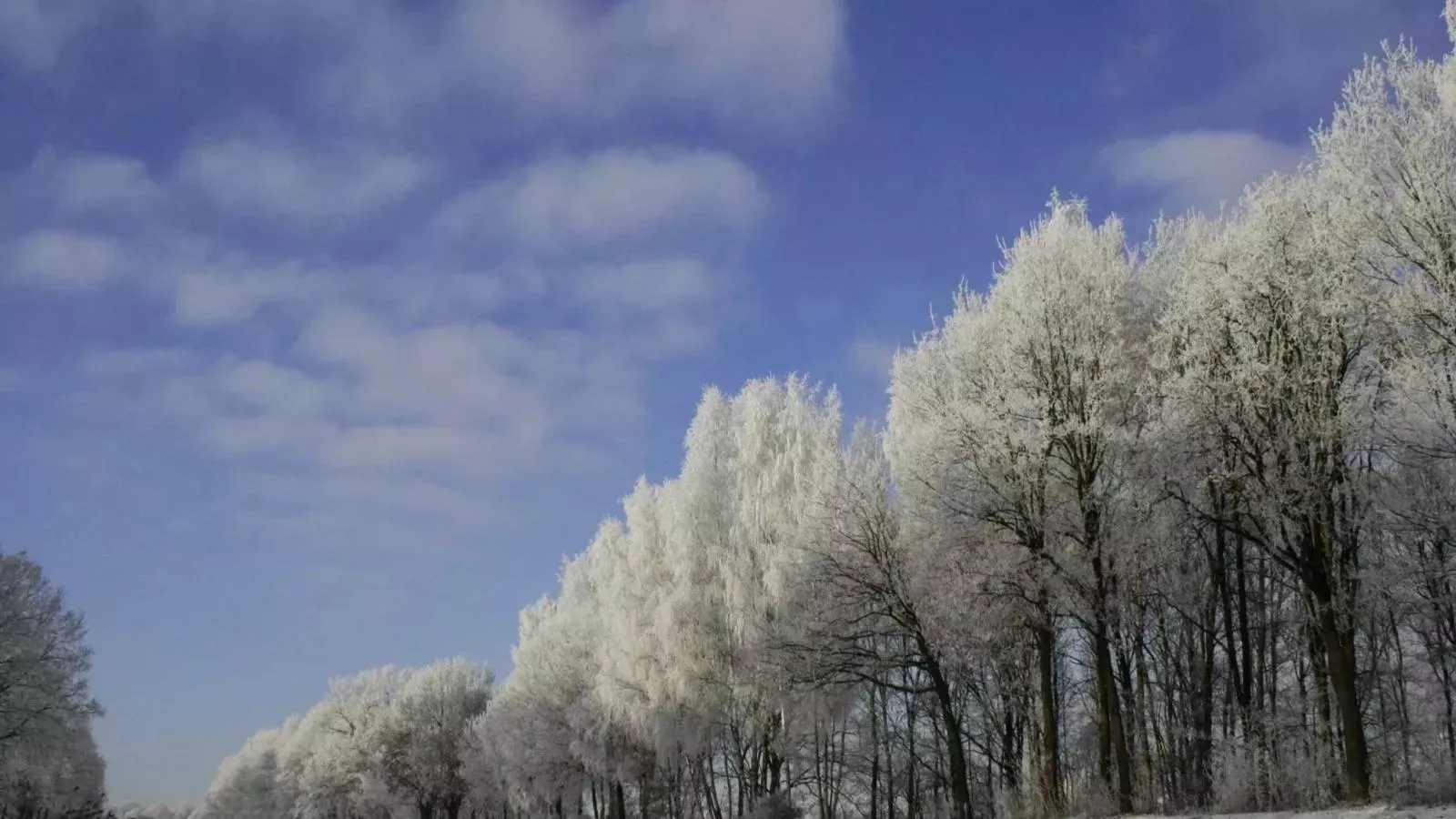 Langgoor-Gebied winter 1km