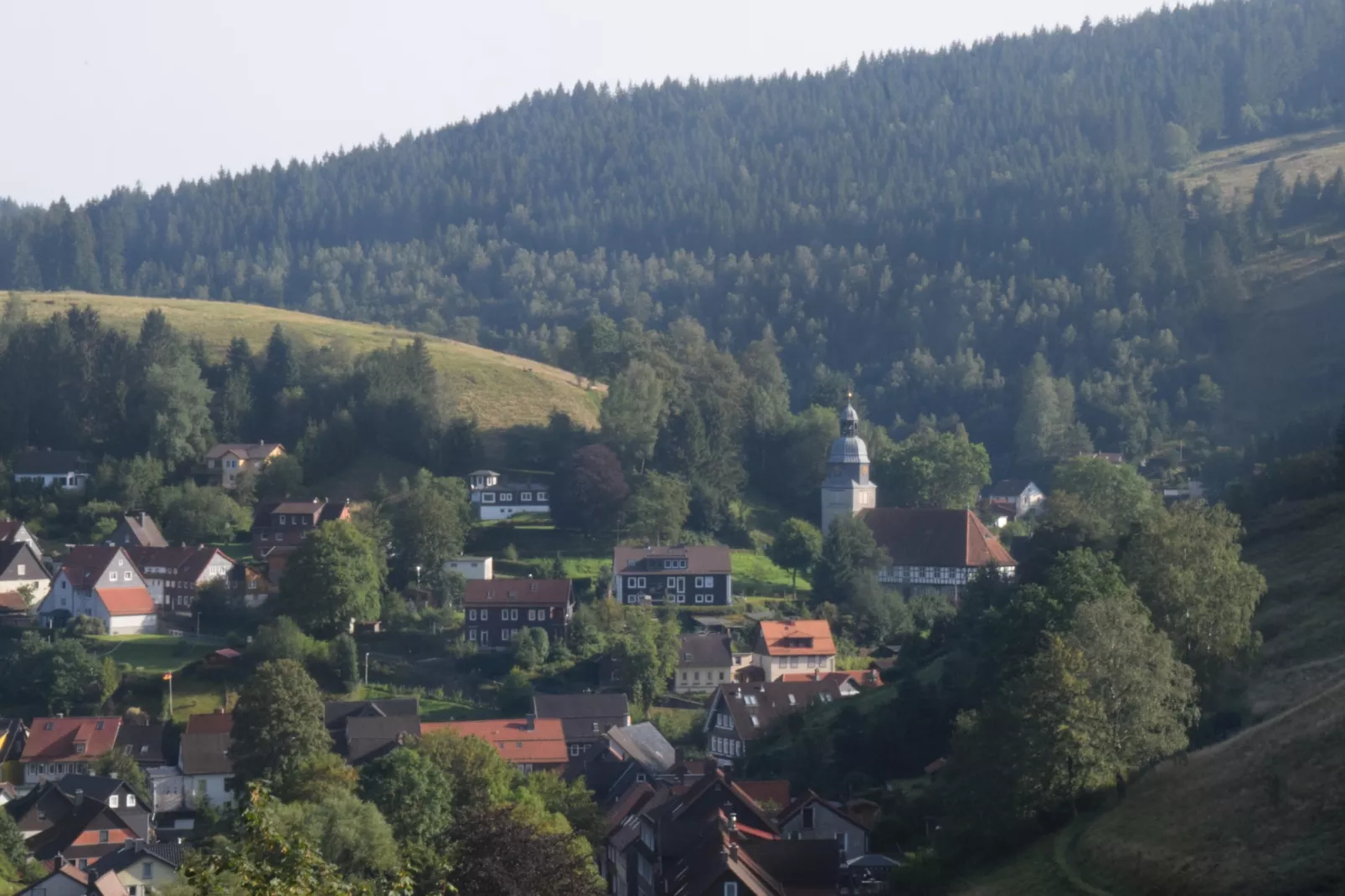 Ferienwohnung Sonne in Harz-Gebieden zomer 5km