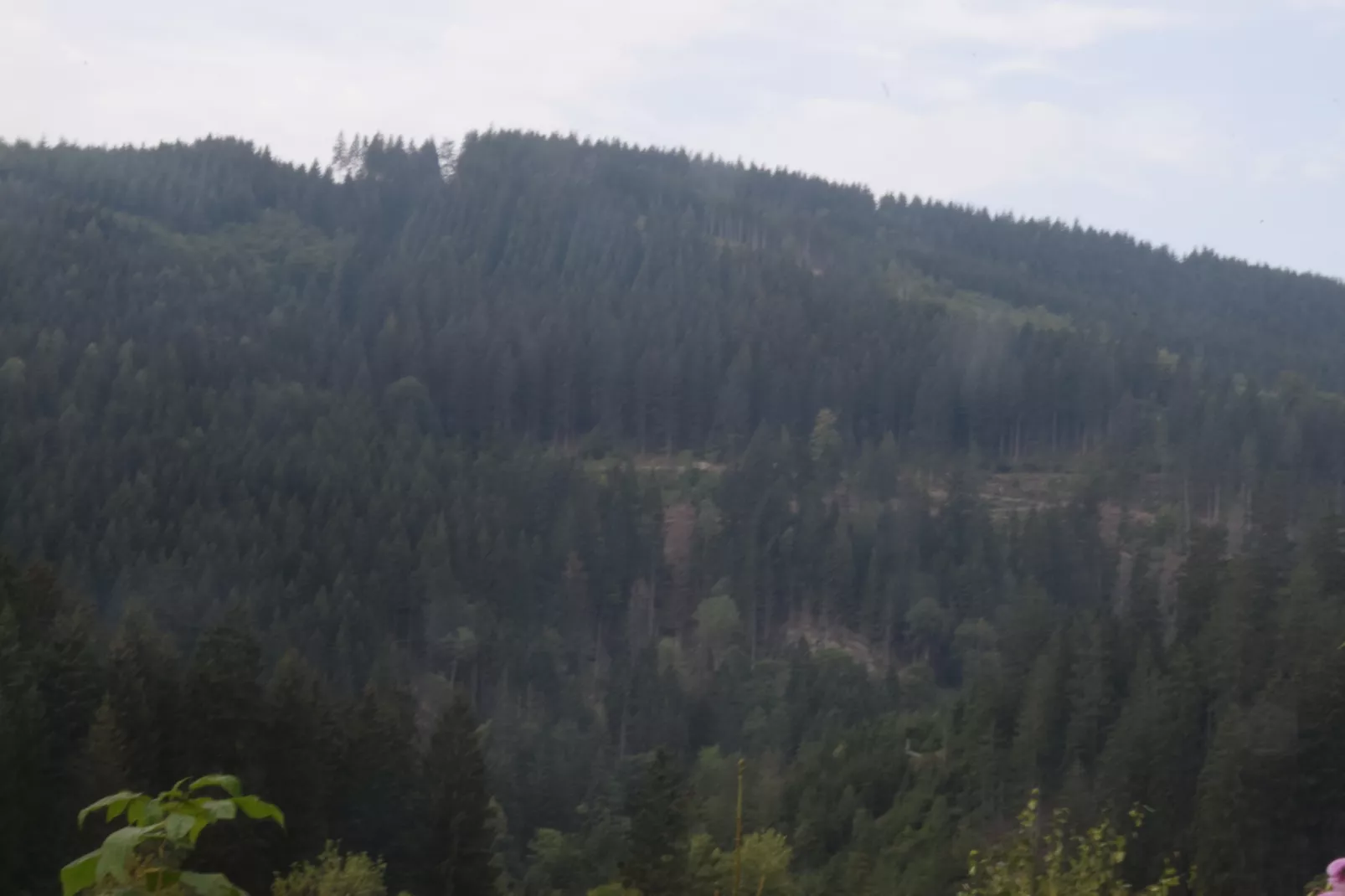 Ferienwohnung Sonne in Harz-Gebieden zomer 20km