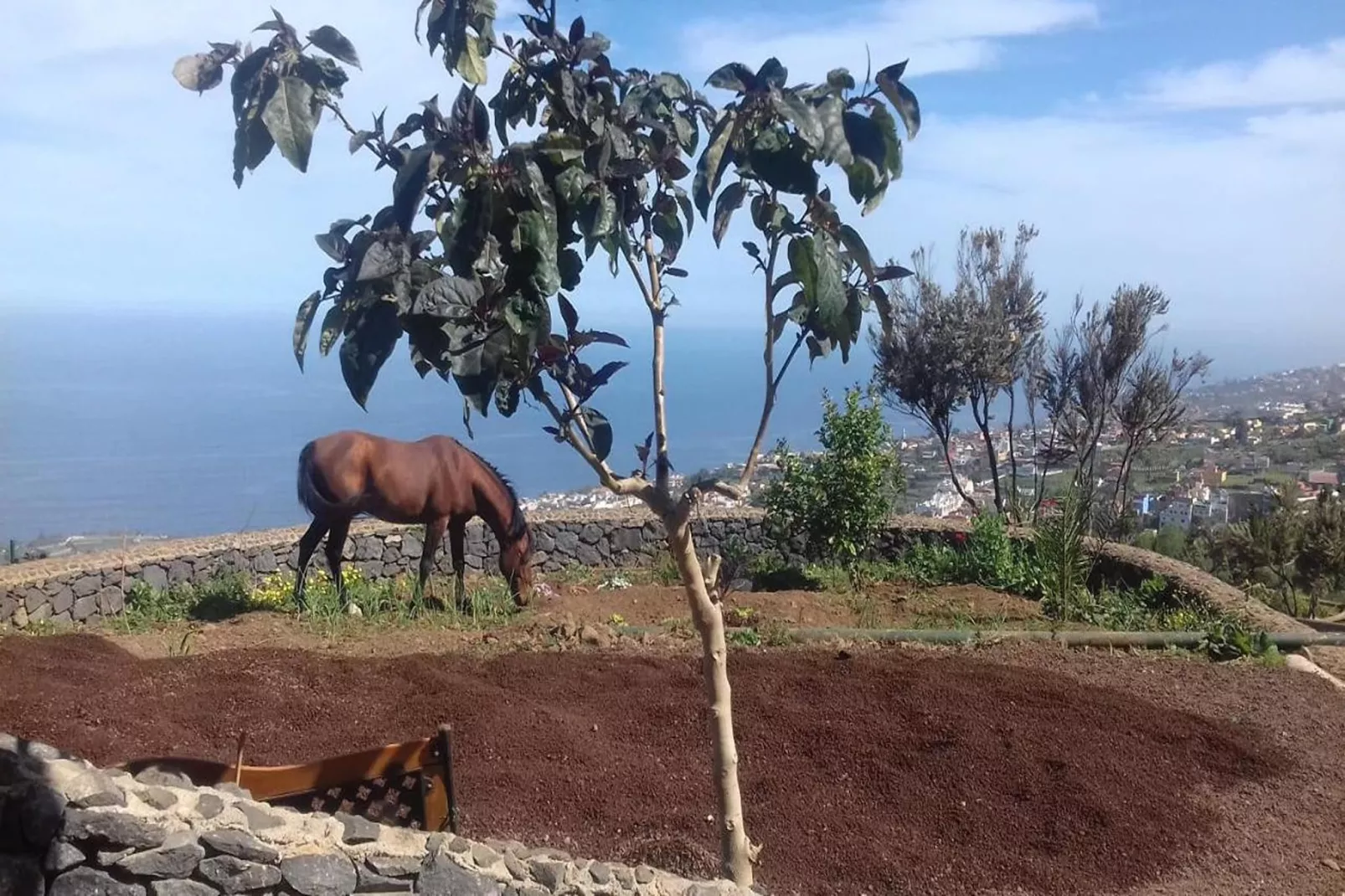 Finca Rural Santa Úrsula-Uitzicht zomer