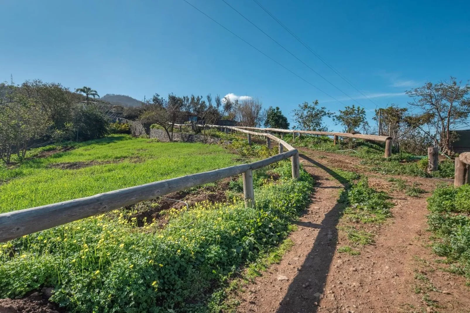 Finca Rural Santa Úrsula-Tuinen zomer