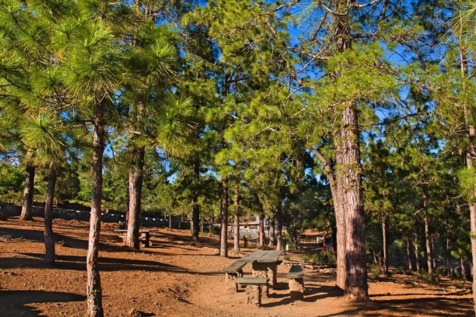 Finca Rural Santa Úrsula-Gebieden zomer 5km