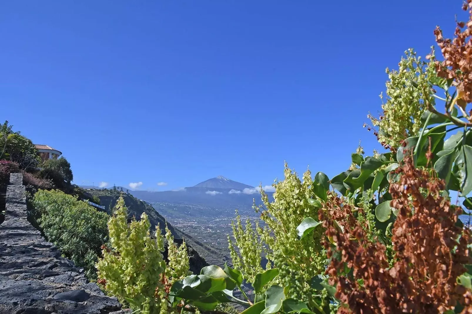 Finca Rural Santa Úrsula-Uitzicht zomer