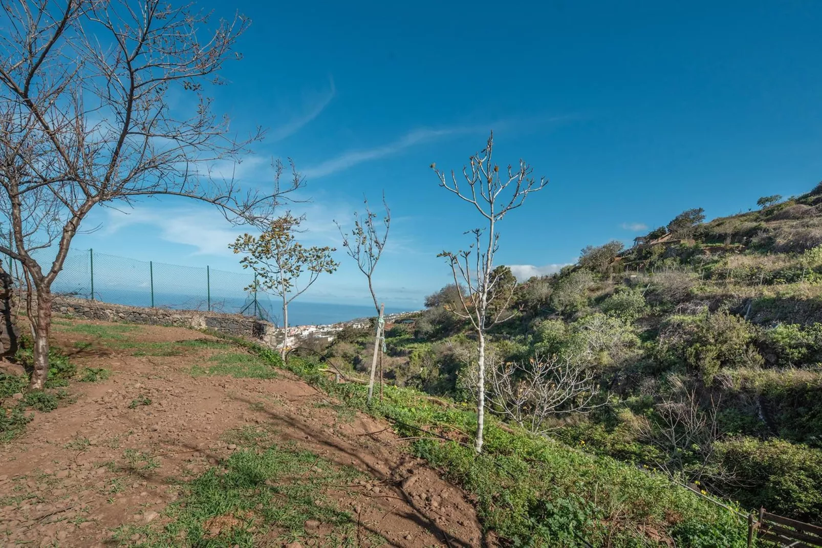 Finca Rural Santa Úrsula-Gebieden zomer 1km