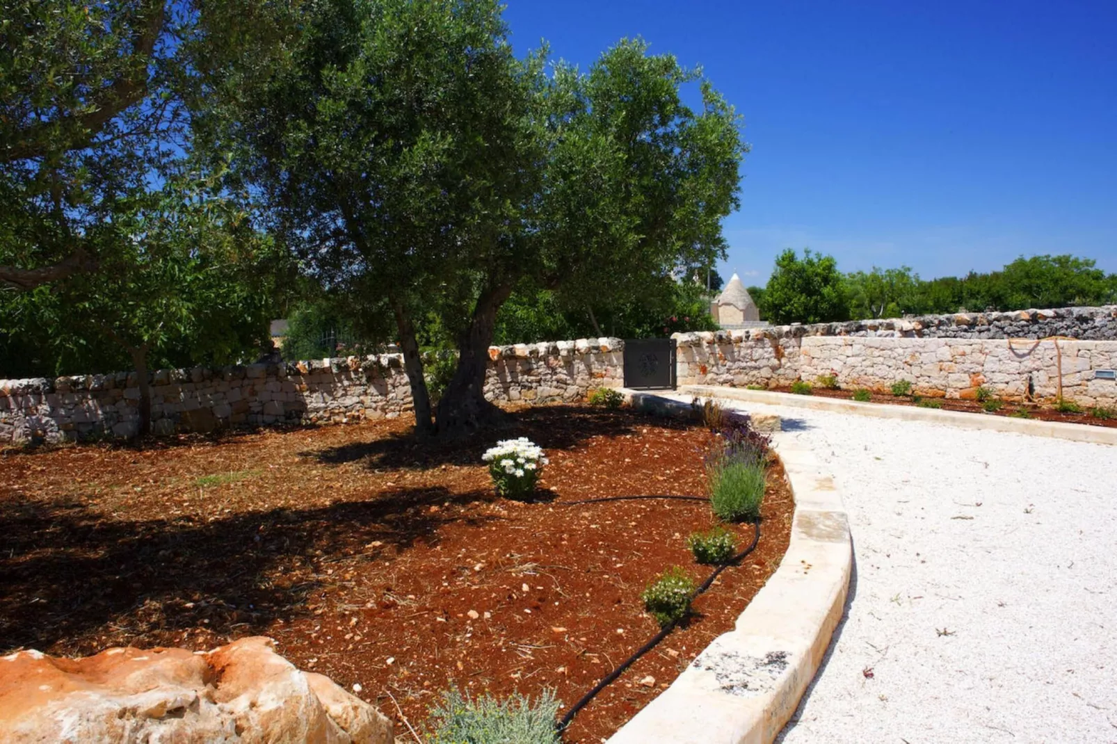 Ferienhaus Cisternino - Trulli Contrada Pico-Gebieden zomer 1km