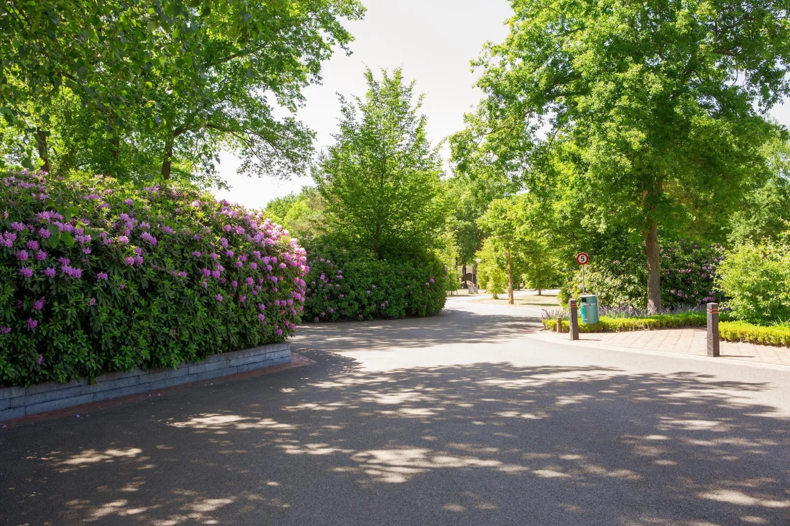 Vakantiepark Latour 3-Tuinen zomer