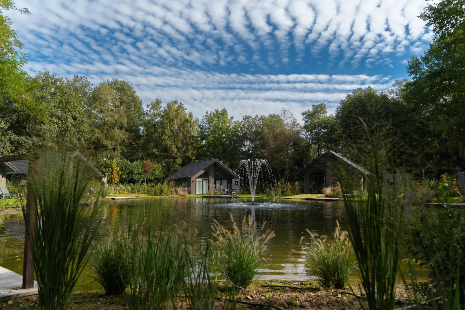 Vakantiepark Latour 3-Uitzicht zomer