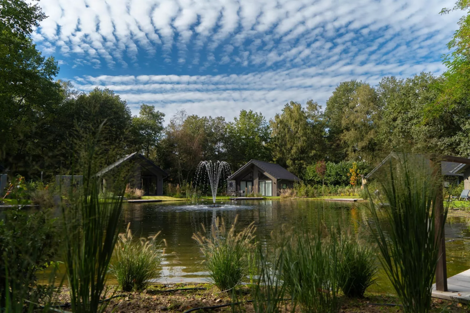 Vakantiepark Latour 3-Uitzicht zomer