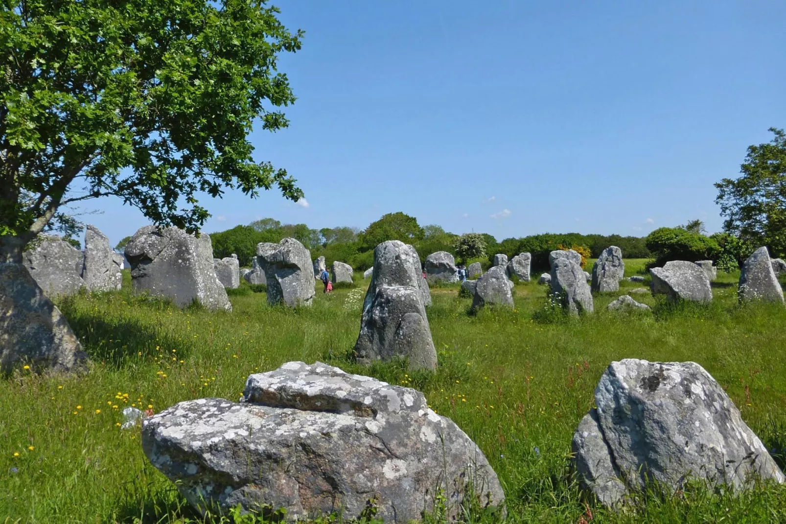 Holiday home Carnac-Gebieden zomer 1km