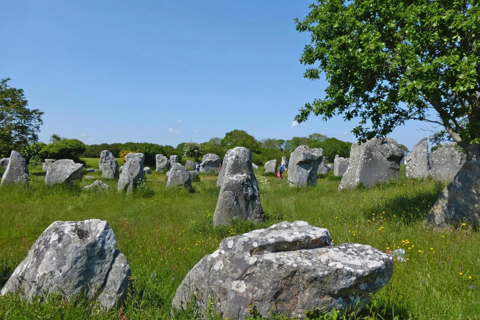 Holiday home Carnac-Gebieden zomer 1km