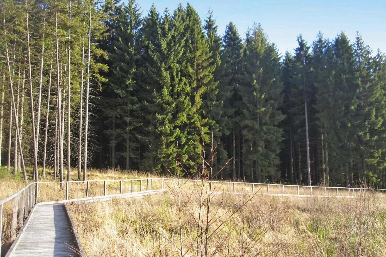 Habicht 1-2 Pers-Gebieden zomer 1km