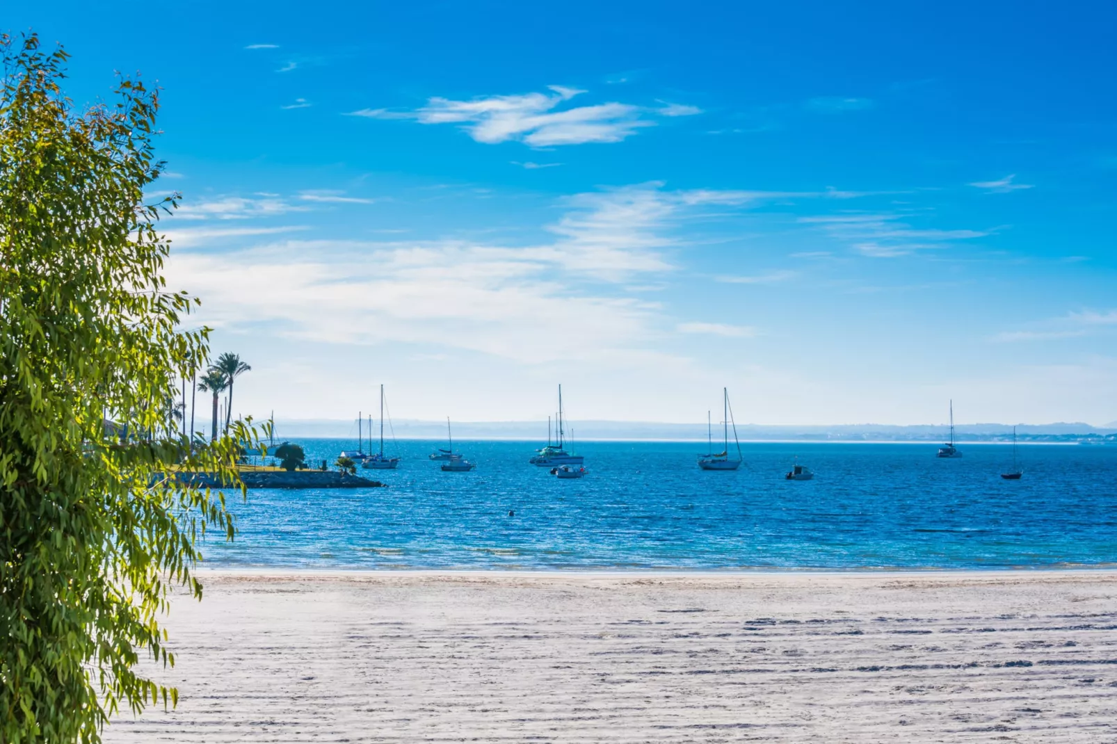 Blue Palm Beach-Gebieden zomer 5km