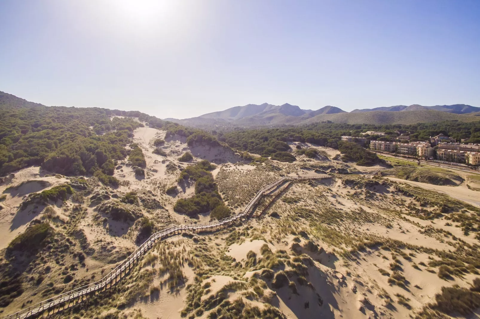 El Palmeral-Gebieden zomer 20km