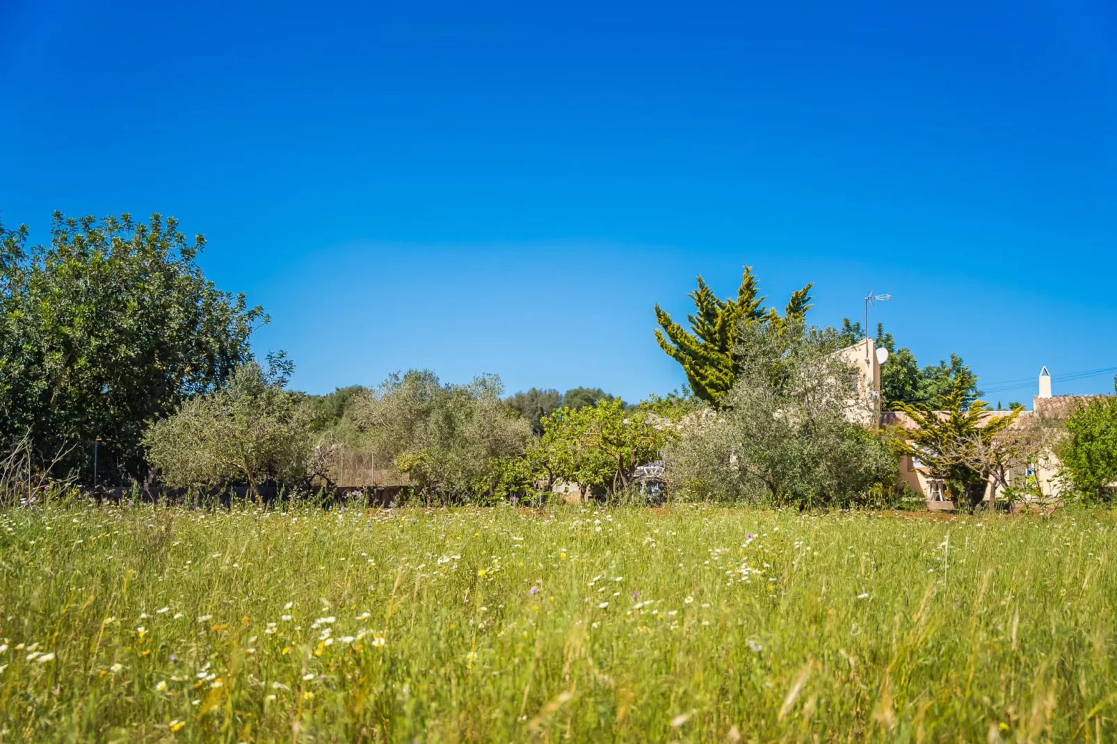 Finca Es Baladre-Gebieden zomer 1km