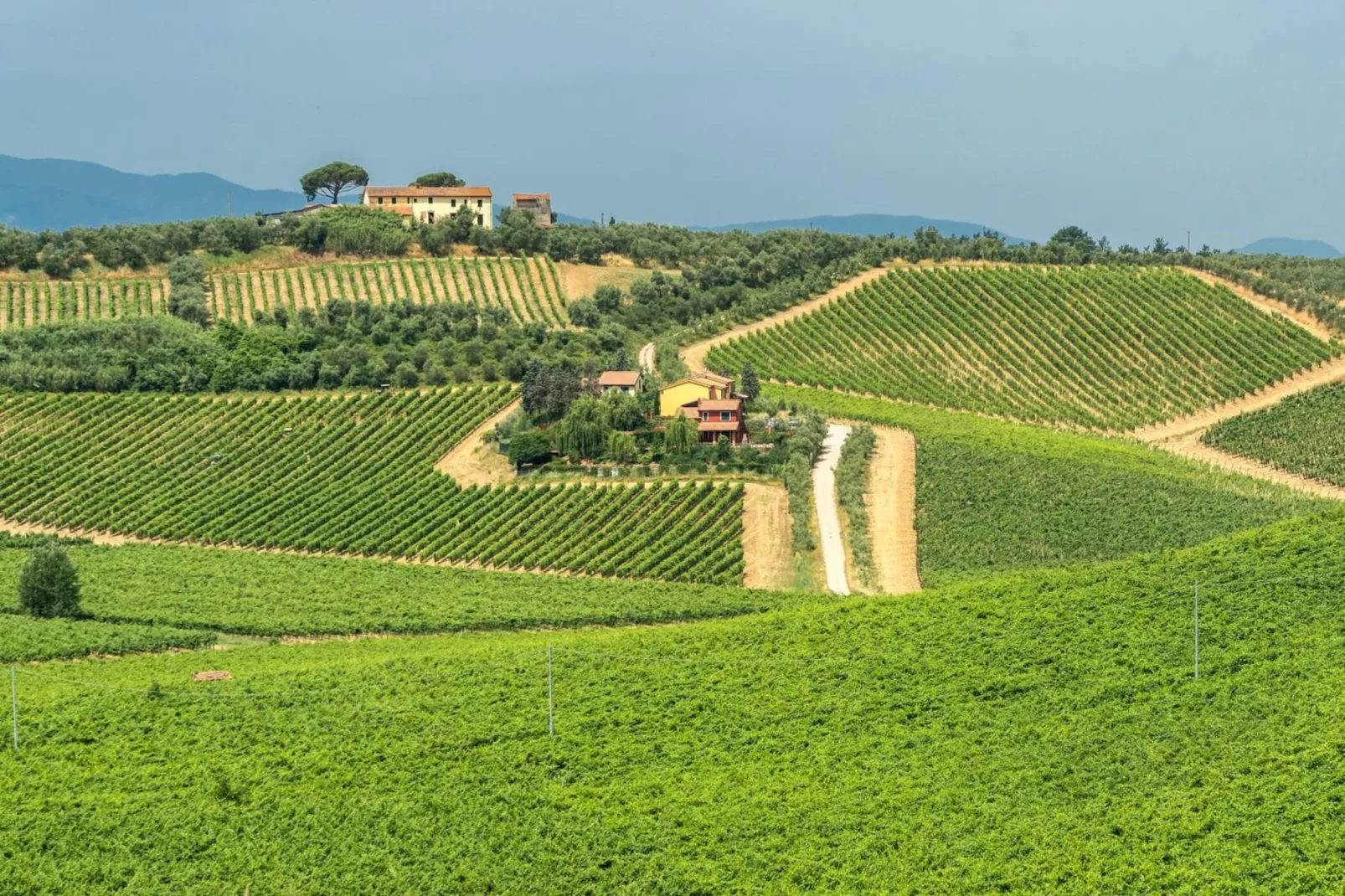 Agri-tourism Giugnano Poggio del Sole, Lamporecchio-2-Raum, Typ C, ca. 80 qm-Uitzicht