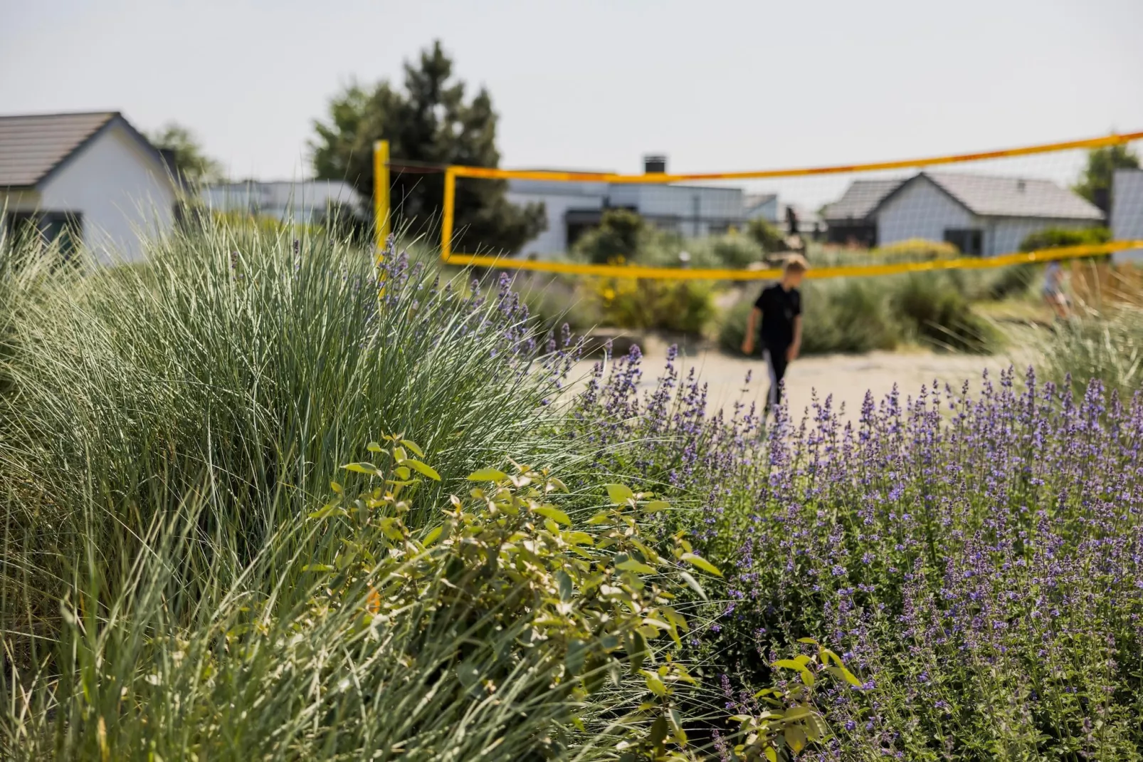 Strandpark Duynhille 1-Tuinen zomer