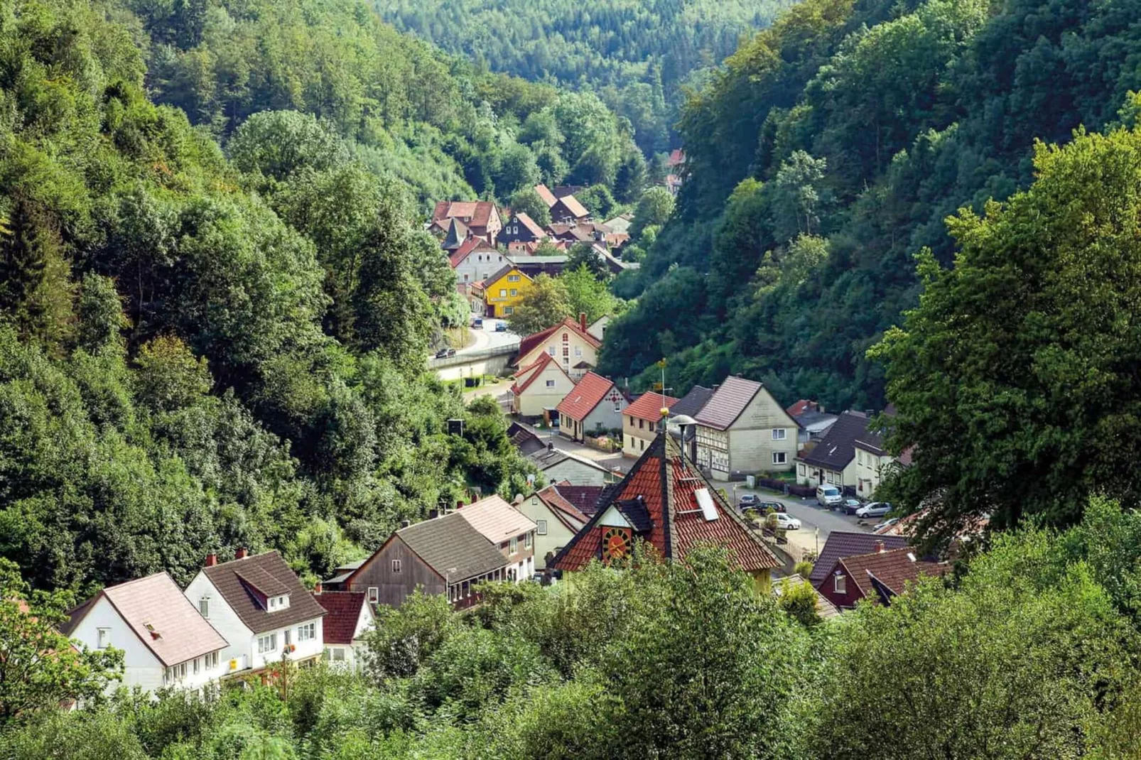 Jagdschlösschen Whg 19-Uitzicht