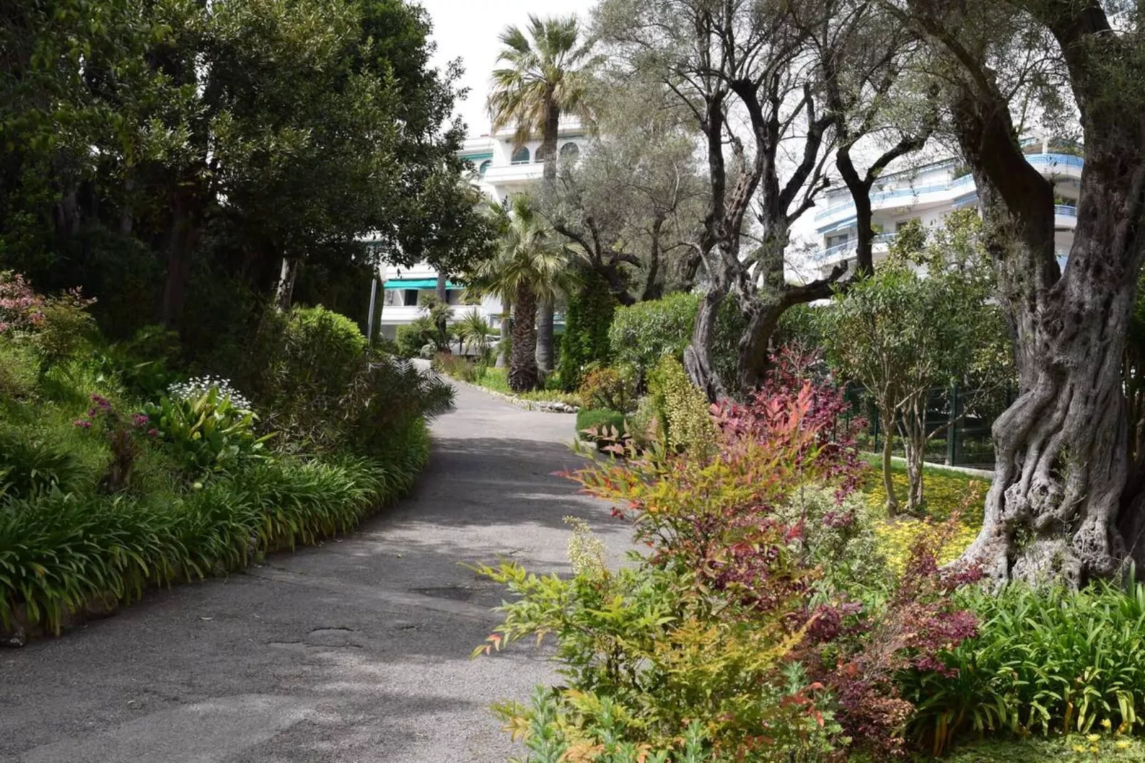 Juan-les-Pins Vue Mer Plage Piscine et Tennis-Gebieden zomer 1km